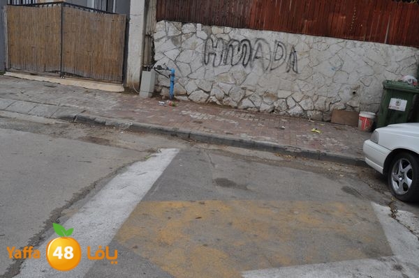 kaneswa7akhdra2lud316 (17).JPG